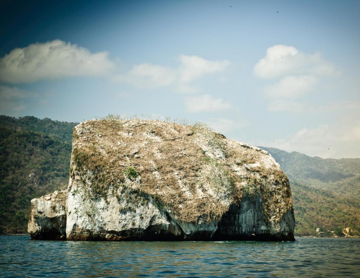 Joint Boutique Hotel Zona Romantica Puerto Vallarta Kültér fotó